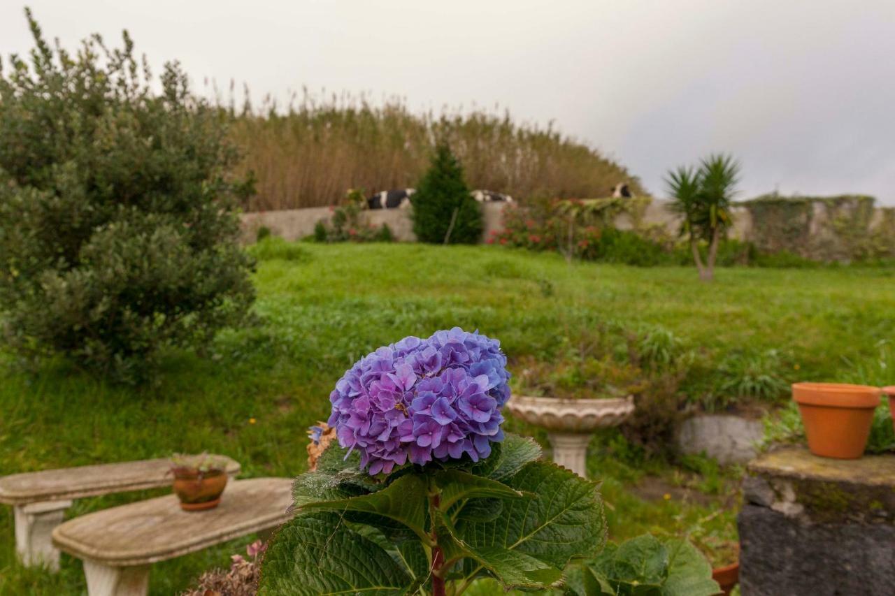Candelaria House Εξωτερικό φωτογραφία